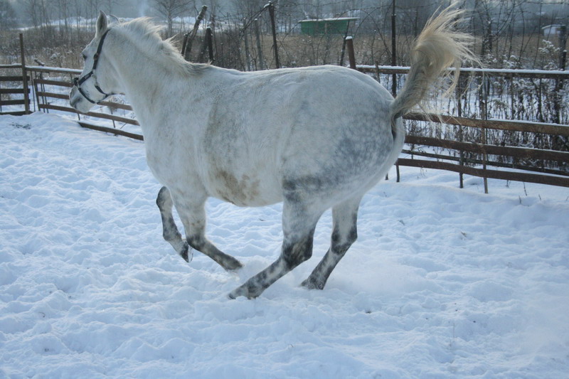 IMG_1594.jpg1.jpg"%20height="533"%20width="800